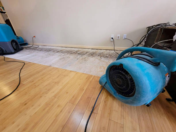 Professional Water Extraction technician working in Fort Mcdowell, AZ